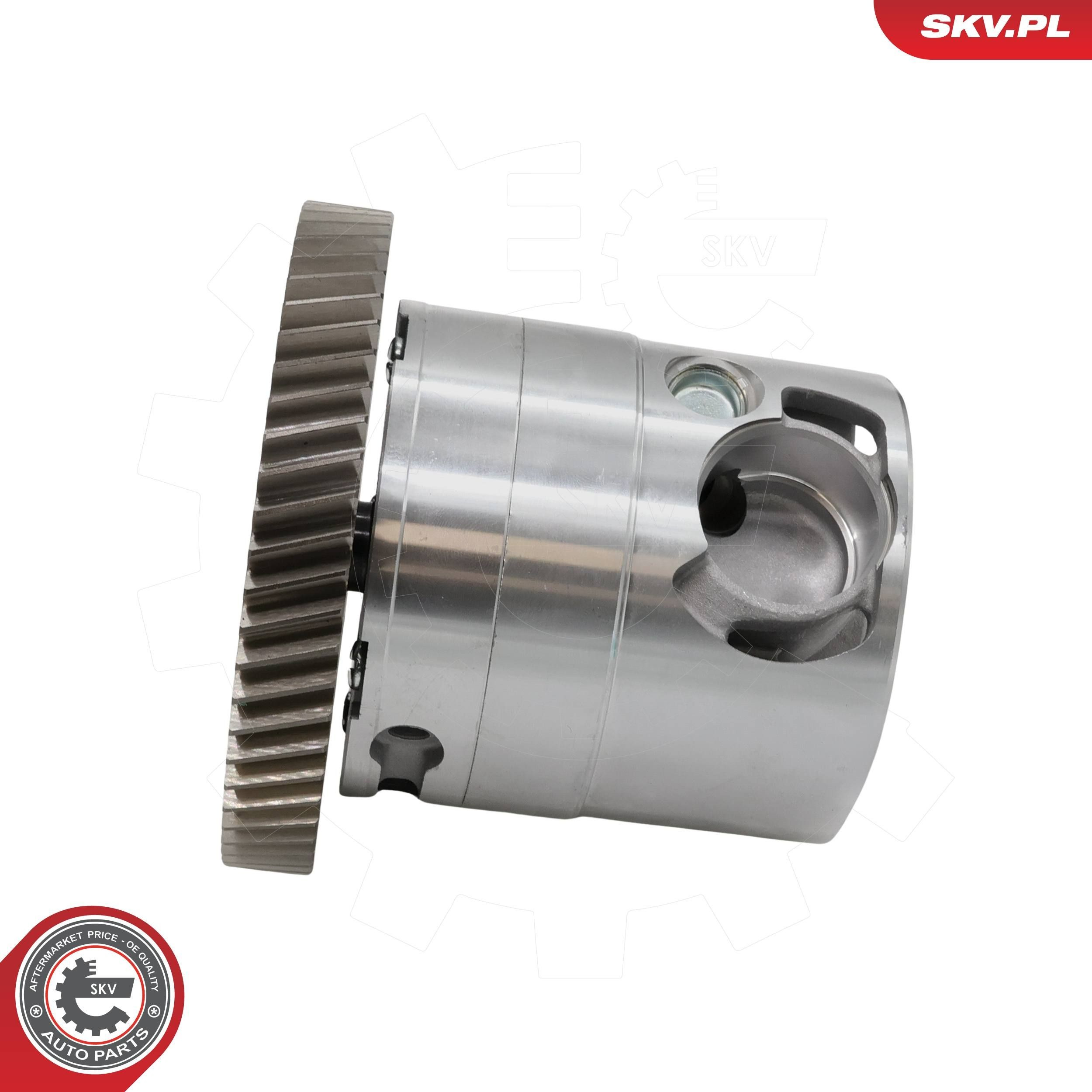 77SKV017 SKV
